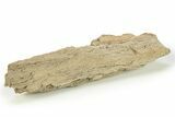 Cretaceous Petrified Wood Covered In Druzy Quartz - Texas #281752-1